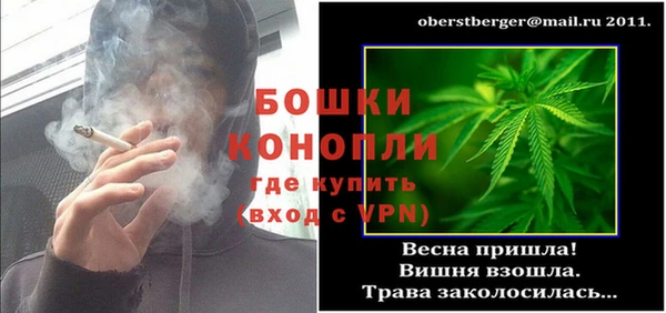 Альфа ПВП Аркадак